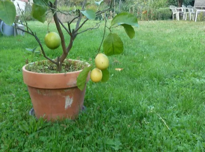 Maison La Marche Apartamento *